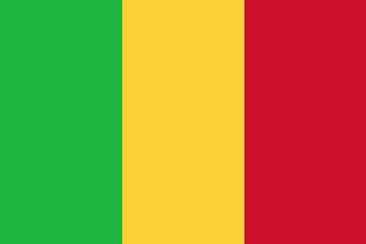 Mali opens probe in Moura site of alleged massacre