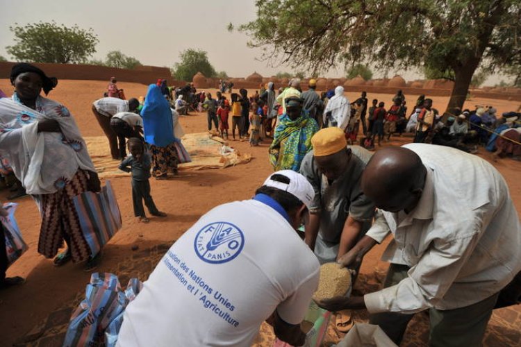 Donors pledge $2 billion for Sahel food aid