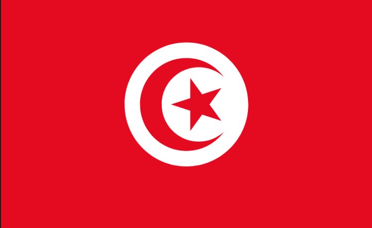 Fuel-laden ship sinks off Tunisia coast: authorities