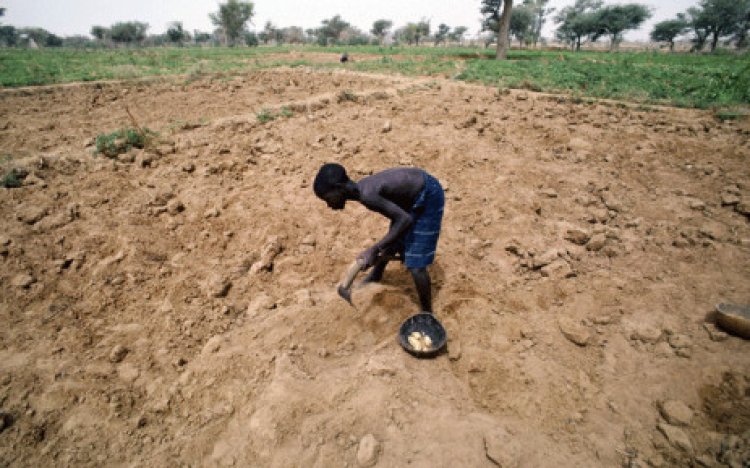 UN says 20 million risk starvation as horn of Africa drought worsens
