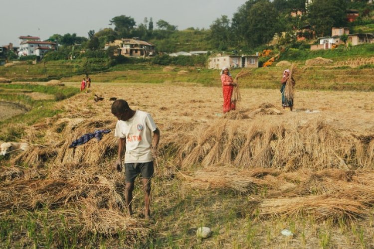 Women, smallholder farmers and indigenous communities shaping the transformation to sustainable land use
