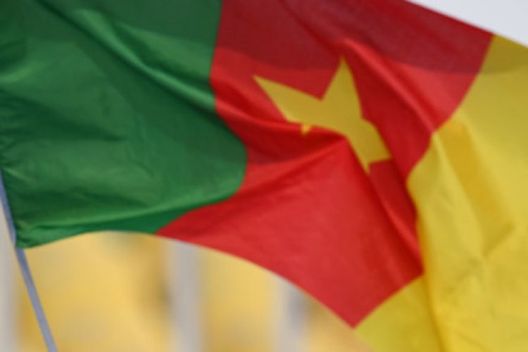 Gunman kills seven villagers in northeast Cameroon
