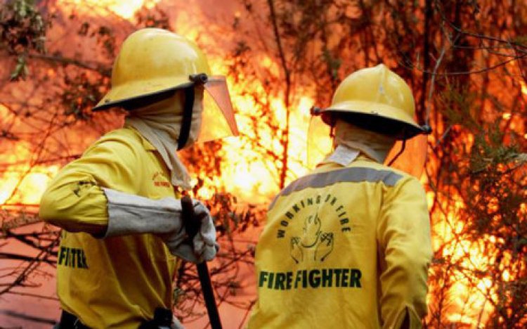 26 dead as forest fires spread in north Algeria