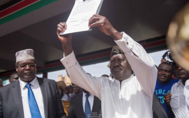 Kenya's Odinga files court challenge to presidential poll result