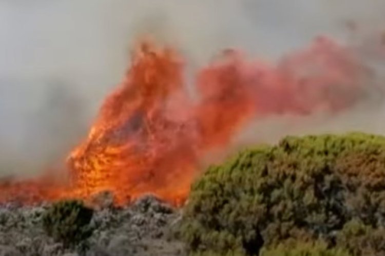 Tanzania deploys army to battle Mount Kilimanjaro fire