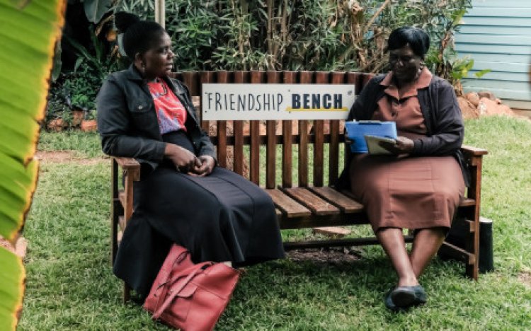Zimbabwe's 'mental health benches' exported to the World Cup