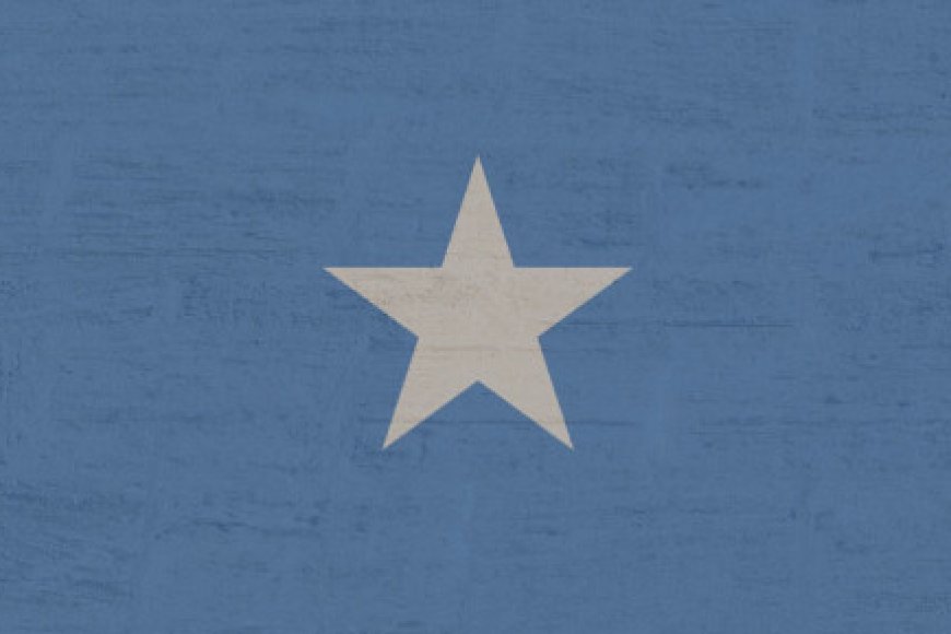 Eight civilians killed as hours-long Somalia hotel siege ends