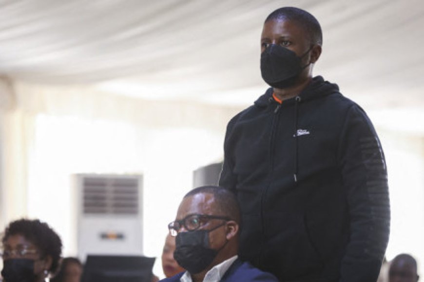 Mozambique ex-president's son, ex-spy bosses jailed for 12 years for graft
