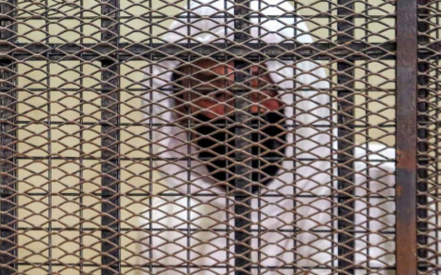 Egypt tycoon dies serving sentence for sexually assaulting minors