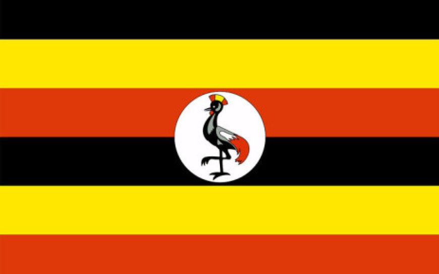 Uganda lawmakers pass new draft of harsh anti-gay bill
