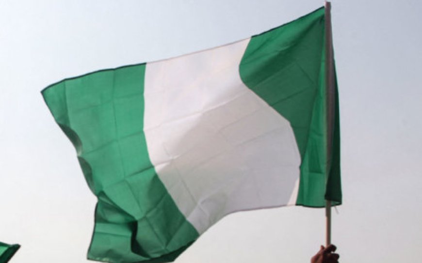 Nigeria ruling party wins state vote, chaos mars other poll