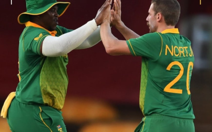 Fast and furious South Africa triumph as England collapse