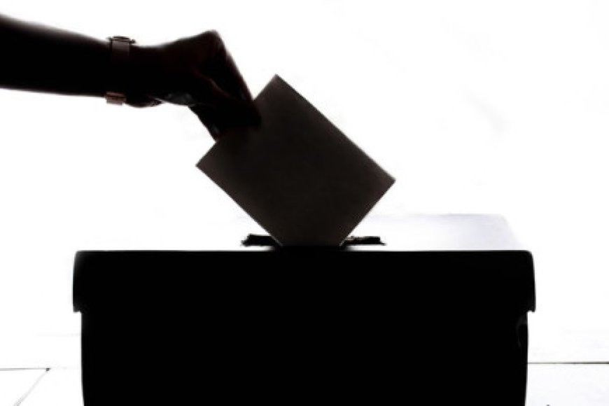 Israeli firm sought to influence elections: report