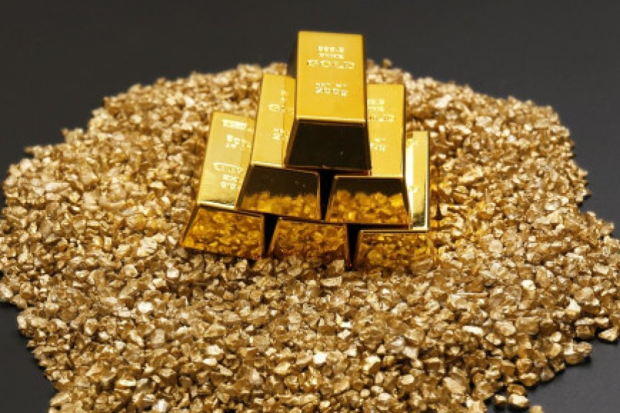 Zimbabwe to investigate 'Gold Mafia' allegations, taking them 'seriously'