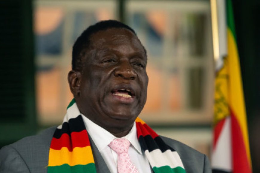 Zimbabwe president promises 'free and fair' election