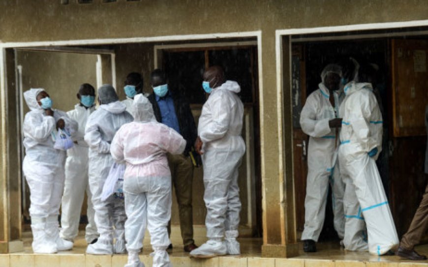 New autopsies in Kenya cult case confirm murder