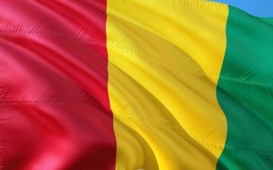 Guinea junta suspends membership in regional development group
