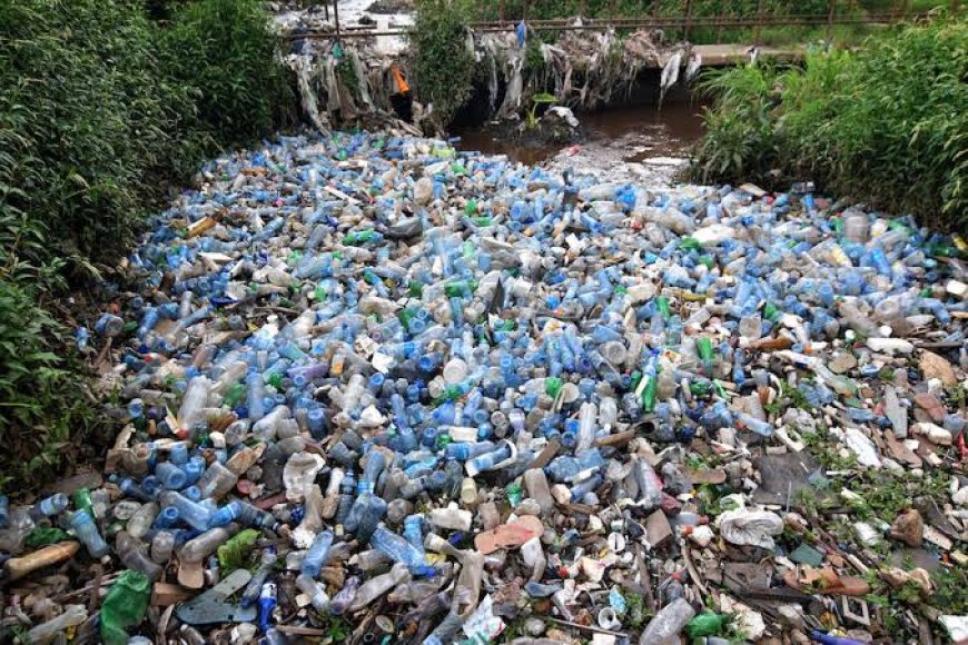 East Africa Advised on Risks Paused By Continued Usage of Plastics