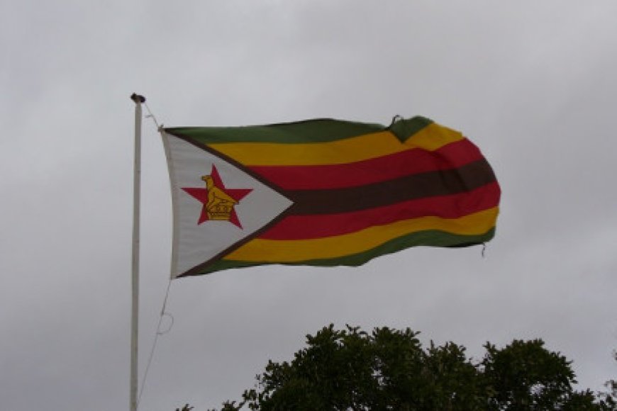 Zimbabwe police arrest 40 opposition members as vote looms