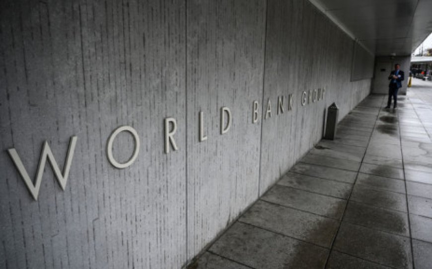 World Bank halts new loans to Uganda over anti-gay law