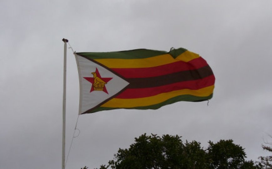 Zimbabwe police arrest 40 opposition members as vote looms