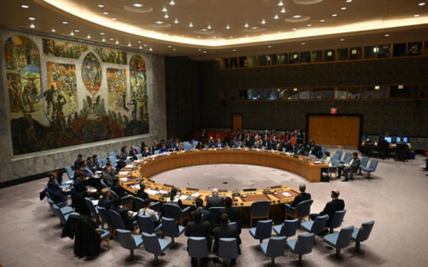 Russia vetoes UN resolution on Mali sanctions