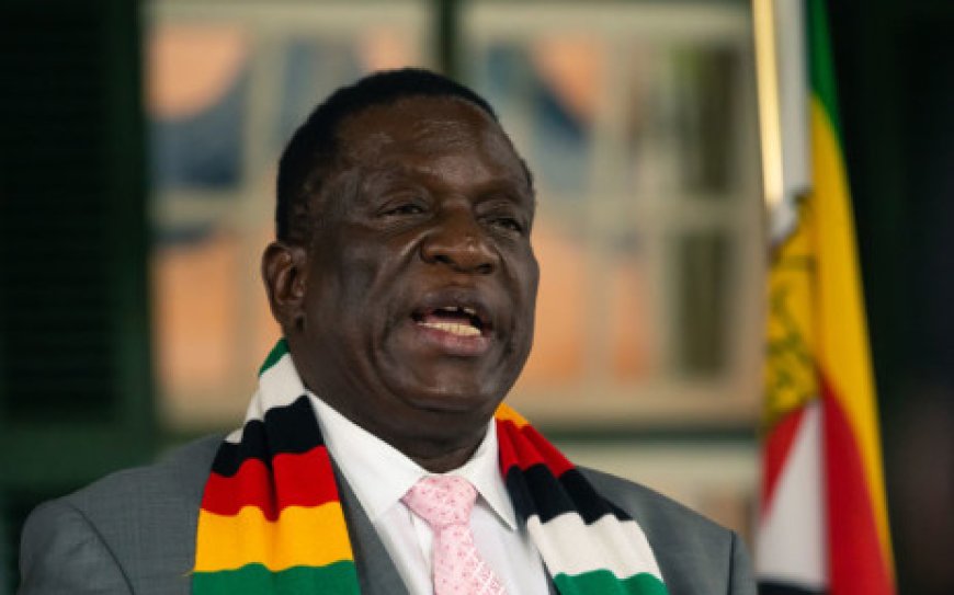 Zimbabwe president swears son, nephew into new government