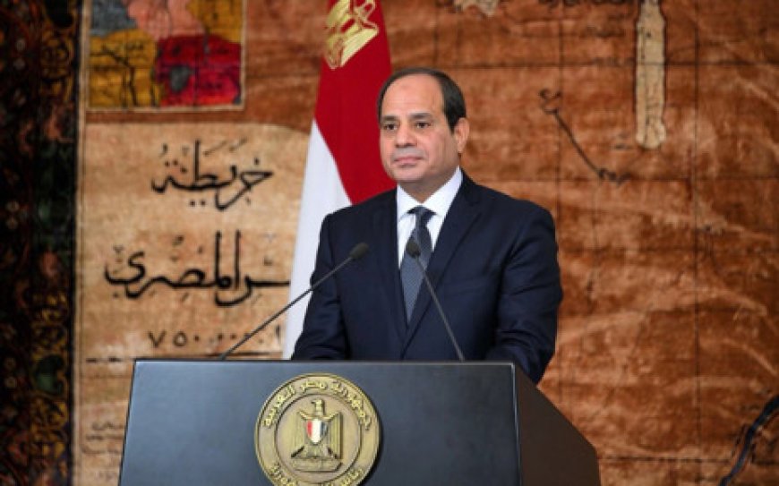Egypt's Sisi announces run for third term to 'complete the dream'