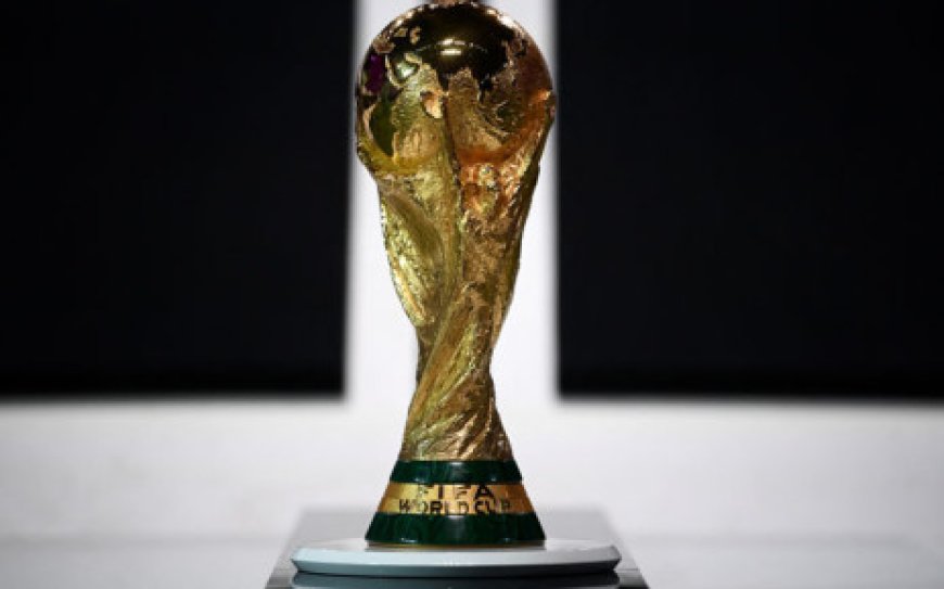 Europe, Africa and South America to host games in 2030 World Cup: FIFA