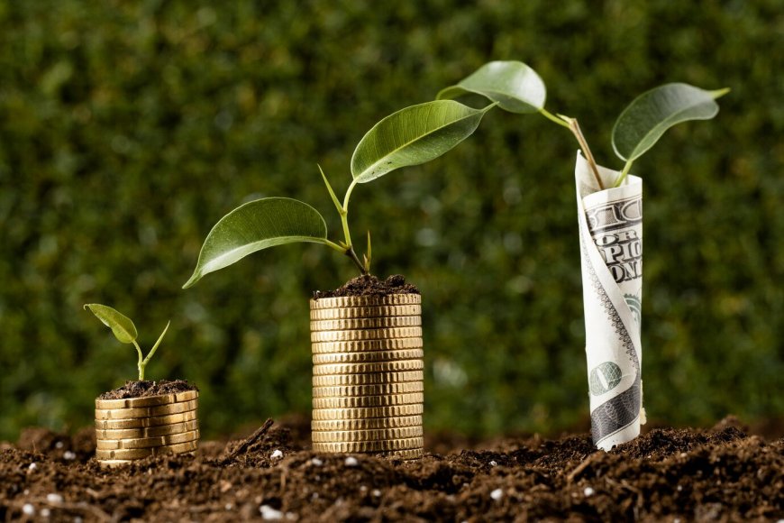 Financial Success is deeply rooted in one's mindset: Money Grows On Trees