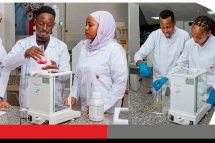 Pharmacy Takes the World: Victoria University Students Revolutionize Global Learning in India!