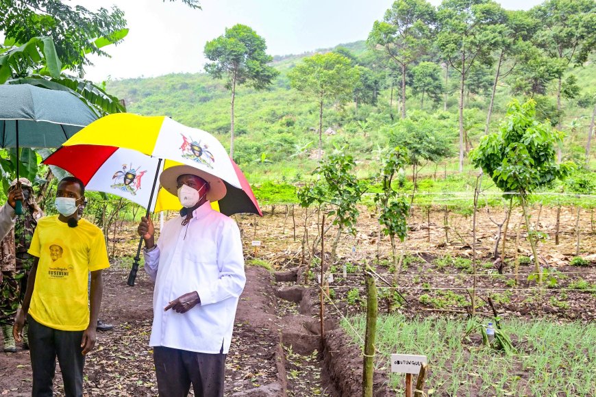 President Museveni Commends Progress of PDM Beneficiaries in the Busoga Sub-Region