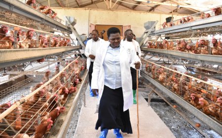 NRM Deputy Secretary General Namayanja Rose Nsereko Rallies Nakaseke Farmers to Embrace Poultry Farming