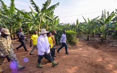 President Museveni Begins PDM Assessment Tour in Ankole, Calls for Action Against Extortionists