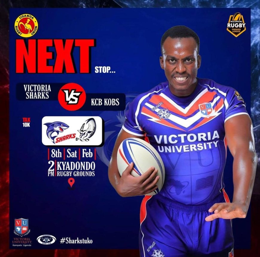 VICTORIA SHARKS SET TO OBLITERATE KOBS IN A RUGBY WAR LIKE NO OTHER