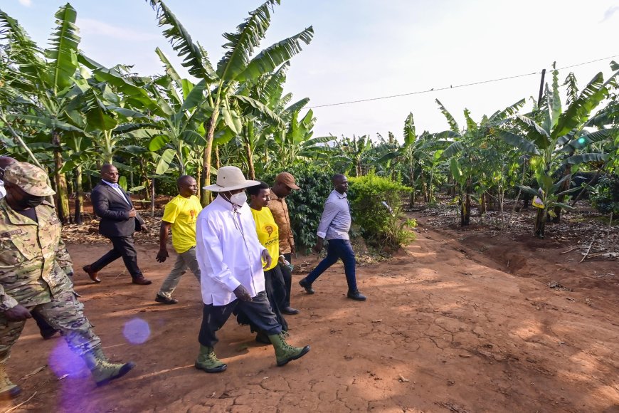 President Museveni Begins PDM Assessment Tour in Ankole, Calls for Action Against Extortionists