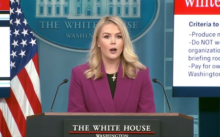 Reporters Speechless After White House Press Secretary Reveals DOGE's Latest Findings
