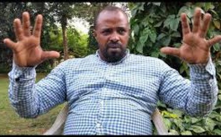 UNATA Launches Nationwide Survey to Address Traders’ Concerns