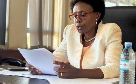 Uganda Chairs High Level NAM Health Ministers’ Meeting on Sidelines of World Health Assembly