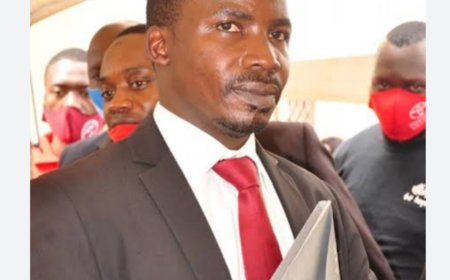 Hon. Aloysius Mukasa Among Opposition MPs Who Boycotted Controversial UPDF Amendment Bill