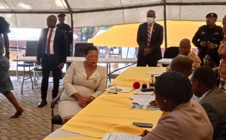 NRM Primary Season Begins: Nomination Window Open for MPs and Local Leaders