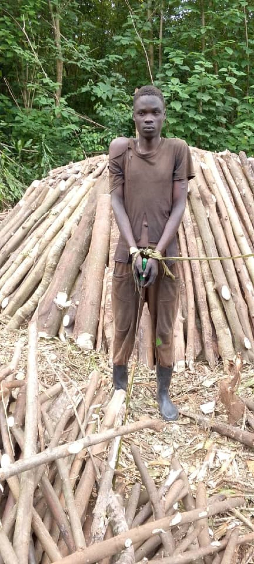 Crackdown in Mabira. Five Arrested for Illegal Charcoal Burning as Two NFA Officers Face Court