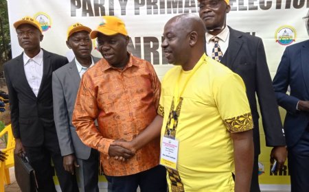 NRM Primaries: List of Flag Bearers Elected for 2026 General Elections