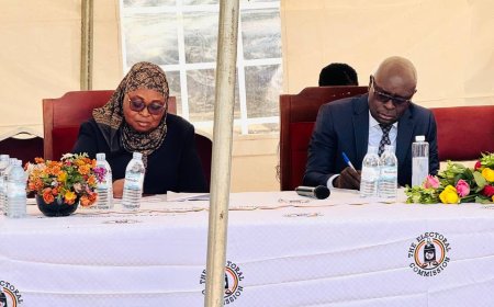 Presidential Nomination Shift Aims to Create More Campaign Time – EC Chairperson