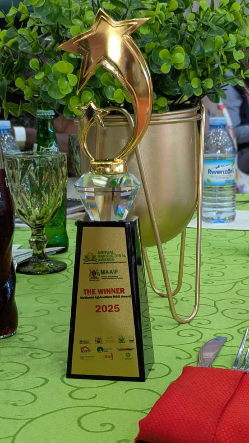 NEC Agro Crowned Best National Agricultural Enterprise of 2025 “We grow it, we process it, and we serve it.”