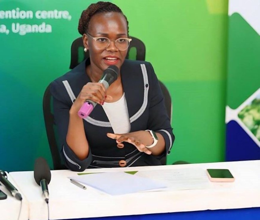 UDB TO HOST INAUGURAL DEVELOPMENT FINANCE SUMMIT IN KAMPALA