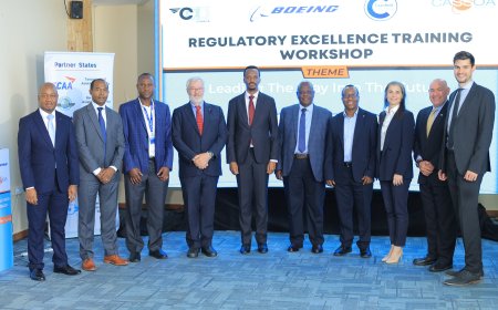 Shaping Safe Skies: Workshop Charts Path for Modern Aviation Oversight