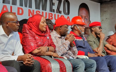Kyagulanyi, Nyanzi, Zahra Luyirika Among Others Unleash Balimwezo to Dethrone Lukwago