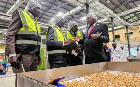 Agro-Industrialisation Drive: NARO Boss Visits Psalms Food Industries