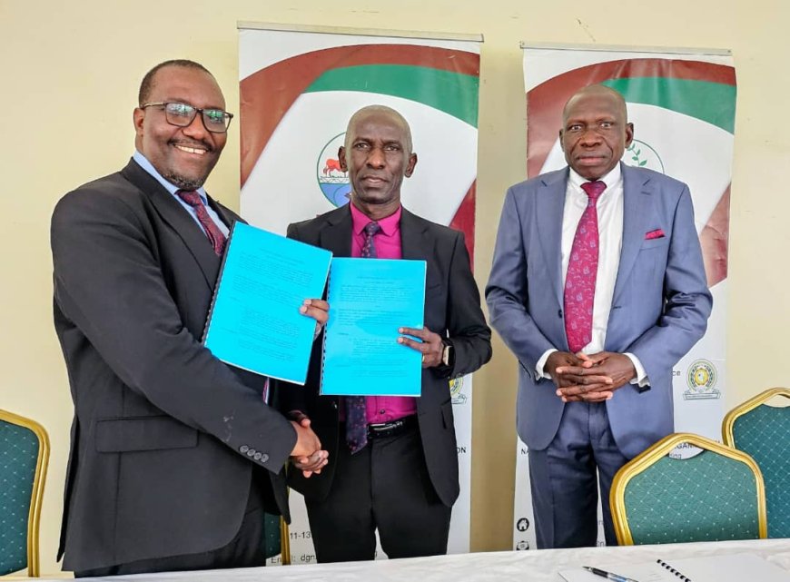 NARO Hands Over 13 Potato Varieties to Seed Companies in Landmark Move to Boost Uganda’s Potato Production